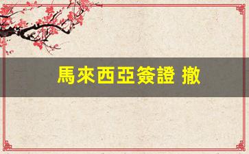 馬來西亞簽證 撤(馬來西亞簽證撤銷流程)